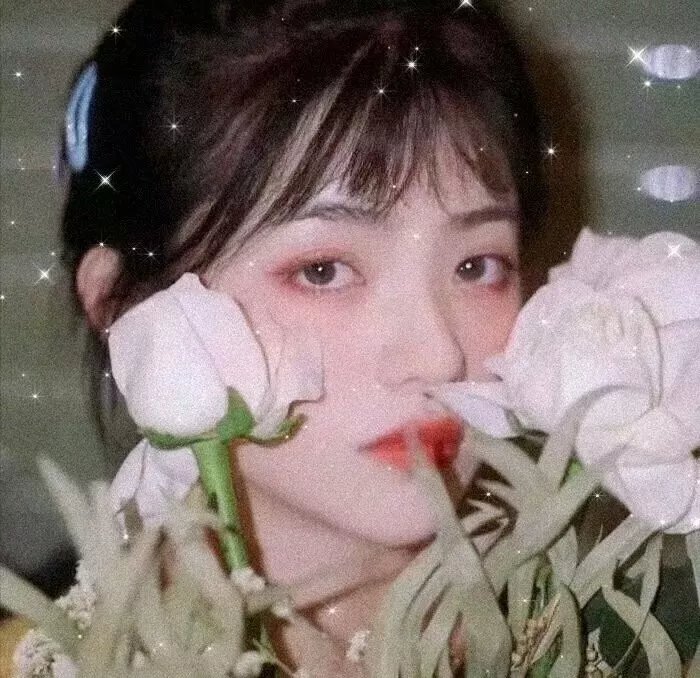 秋叶原系女友